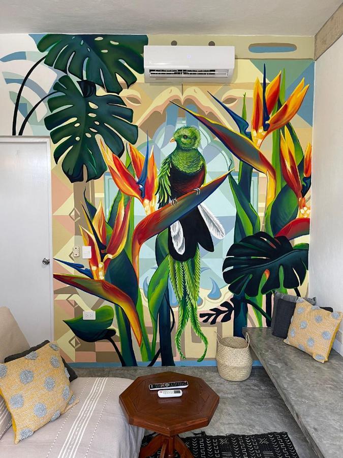 Katalox Jungle Lofts By Simply Comfort Tulum Centre Rooftop Patio & Pool Apartamento Exterior foto